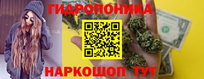 ПСИЛОЦИБИНОВЫЕ ГРИБЫ Заводоуковск