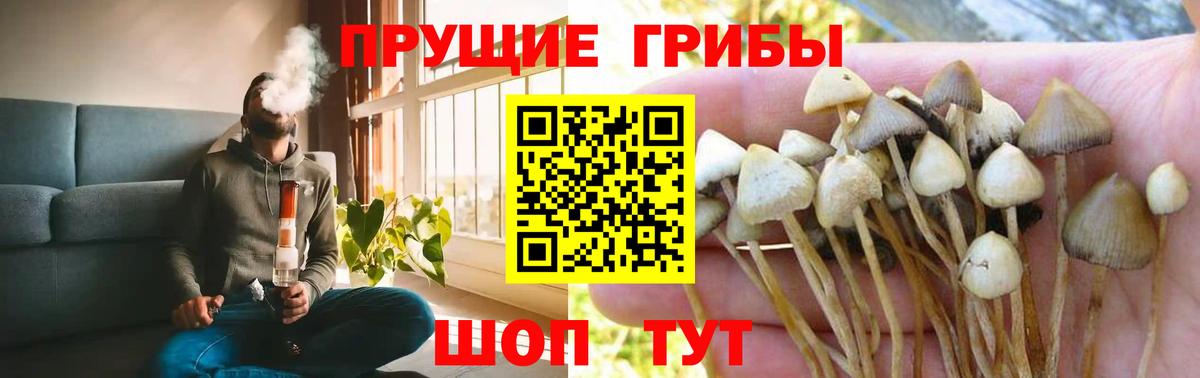 Псилоцибиновые грибы Magic Shrooms  Вход с VPN  Каменка 